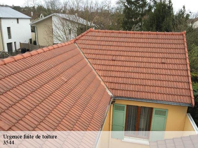 Urgence fuite de toiture  3544